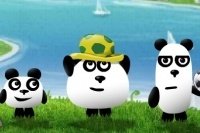 3 pandas en Brasil 3 pandas en Brasil