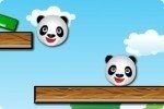 Amigos panda Amigos panda