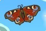 Bebé mariposa Bebé mariposa