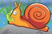 Caracol con hambre Caracol con hambre