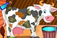 Cuida de la vaca Cuida de la vaca