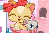 El gatito y las chuches El gatito y las chuches