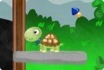 La aventura de la tortuga La aventura de la tortuga