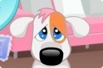 Perrito triste Perrito triste