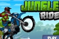 Rutas por la jungla Rutas por la jungla