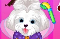 Salón de Belleza para Cachorros Salón de Belleza para Cachorros