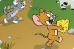 Tom y Jerry en el laberinto de queso Tom y Jerry en el laberinto de queso